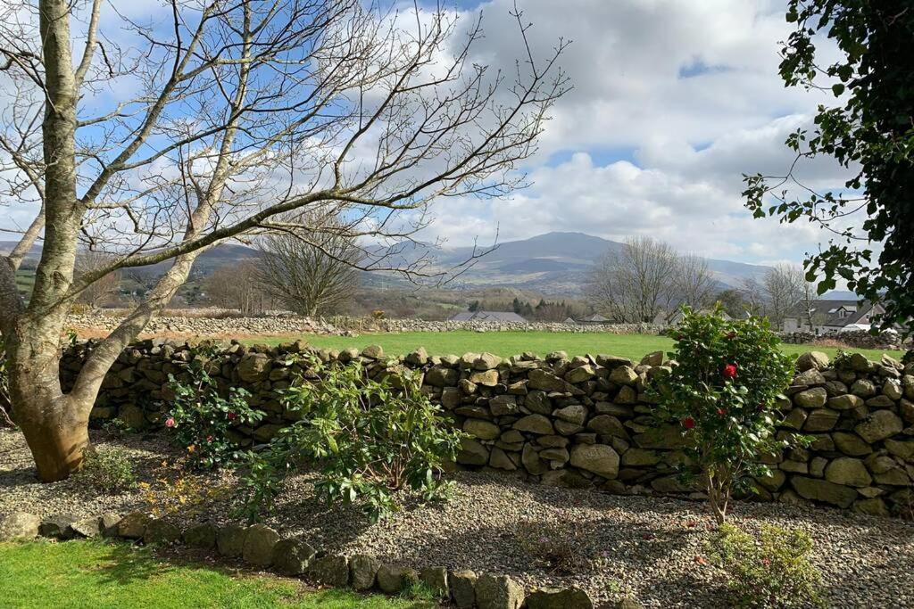 Snowdonia Cabin Caernarfon Eksteriør bilde